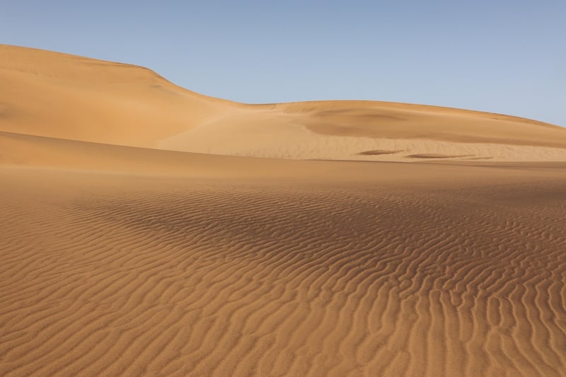 Desert Treks