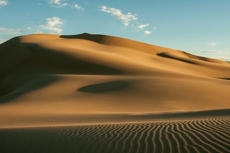 Desert Sunset