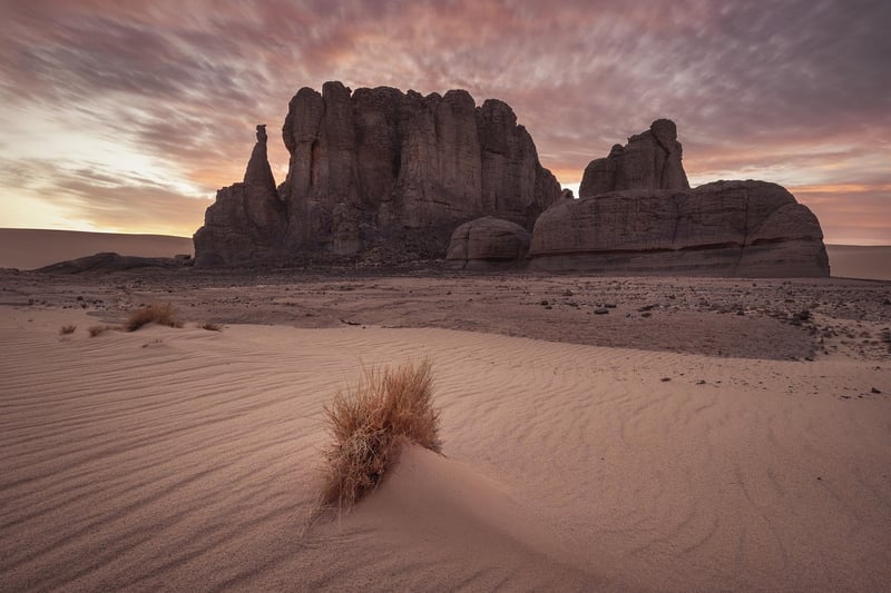 Desert Landscape